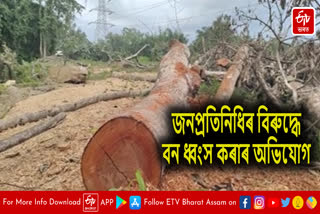 Deforestation in Narayanpur