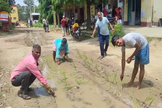 नवादा में अर्धनिर्मित सड़क पर धान रोपनी