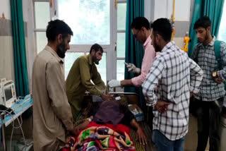 one injured in bear attack in mandi Poonch