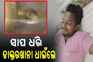 man bitten by snake in bhadrak