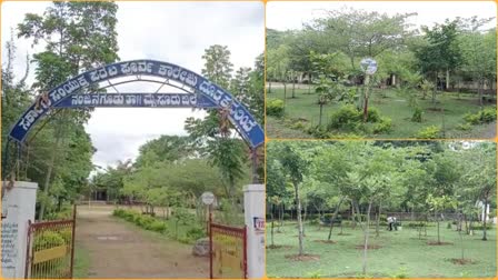 Lecturers Environmental Concerns  Vegetation College Premises  Vegetation College Premises in Mysore  ಉಪನ್ಯಾಸಕನ ಪರಿಸರ ಕಾಳಜಿ  ಸಸ್ಯಕಾಶಿಯಾದ ಕಾಲೇಜಿನ ಆವರಣ  ಕನ್ನಡ ಲಕ್ಚರ್​ ಕಾರ್ಯಕ್ಕೆ ಫಿದಾ ಆದ ಗ್ರಾಮಸ್ಥರು  ಕಾಲೇಜಿನ ಆವರಣ ಸಸ್ಯಕಾಶಿ  ಬರಡು ಭೂಮಿಯಲ್ಲಿ ಮಲೆನಾಡು ವಾತಾವರಣ ಸೃಷ್ಟಿ  ಕನ್ನಡ ಉಪನ್ಯಾಸಕರ ಕಾರ್ಯವೈಕರಿ  ಗ್ರಾಮಸ್ಥರು ಮತ್ತು ವಿದ್ಯಾರ್ಥಿಗಳು ಫಿದಾ