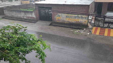 Rain in Bhilwara made farmers happy