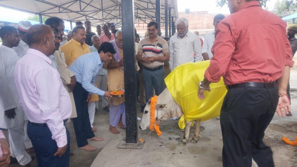 गौशाला में की गौमाता की पूजा.