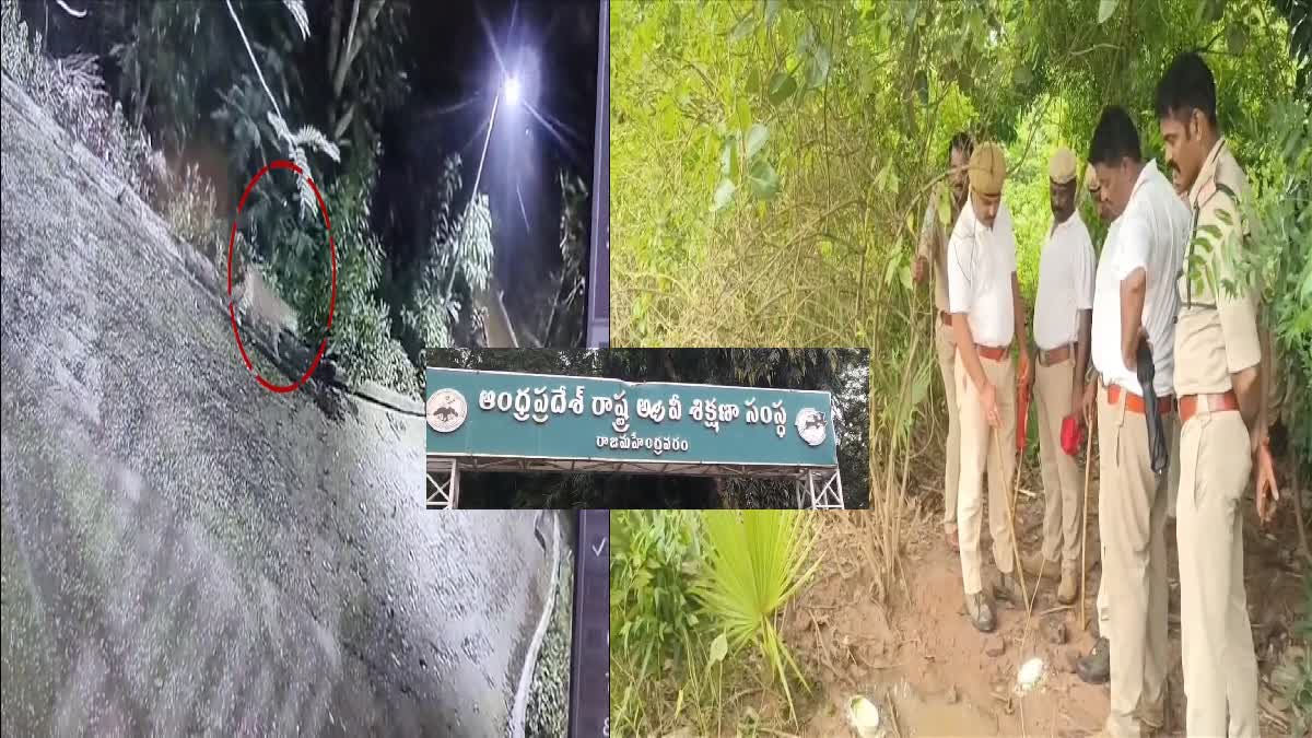 LEOPARD SPOTTED ON RAJAHMUNDRY