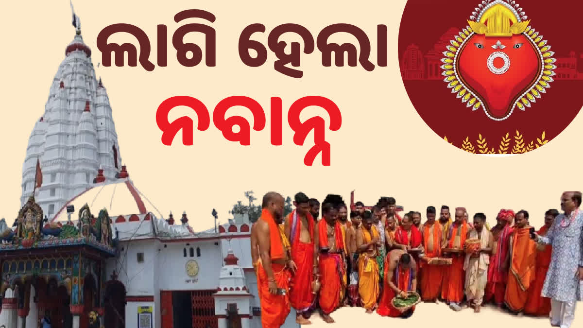 Nuakhai 2024: ଦୁଲୁକୁଛି ସମଗ୍ର ପଶ୍ଚିମ-ଓଡିଶା, ନିର୍ଦ୍ଧାରିତ ଶୁଭଲଗ୍ନରେ ମା’ ସମଲେଶ୍ୱରୀଙ୍କୁ ଲାଗି ହେଲା ନବାନ୍ନ