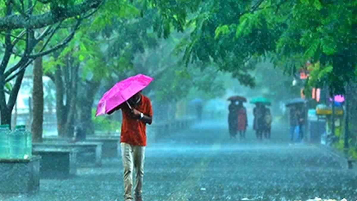 RAIN ALERTS IN KERALA  മഴ മുന്നറിയിപ്പ്  KERALA RAIN NEWS  കേന്ദ്ര കാലാവസ്ഥ വകുപ്പ്