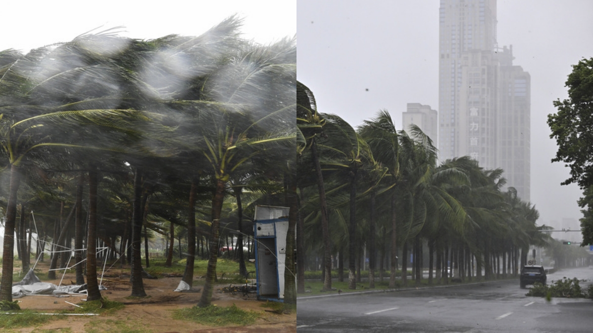 Typhoon Yagi Effects