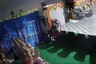 Ganesh Laddu Theft Viral Video