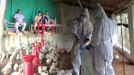 BIRD FLU FEAR