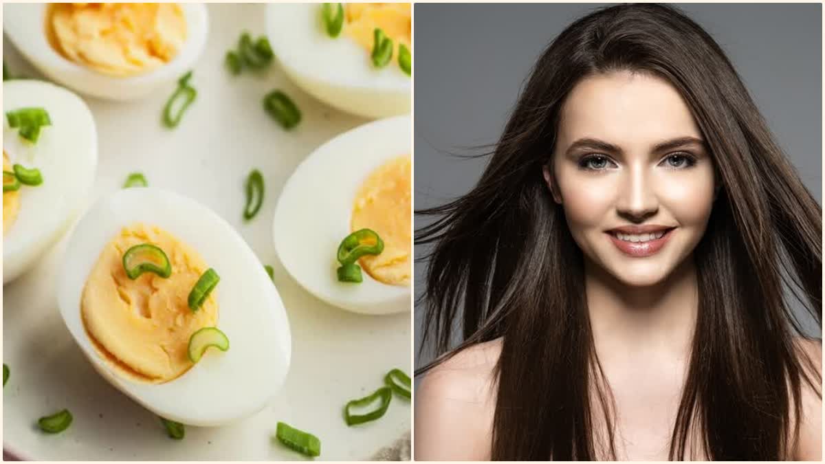 Egg Benefits For Hair