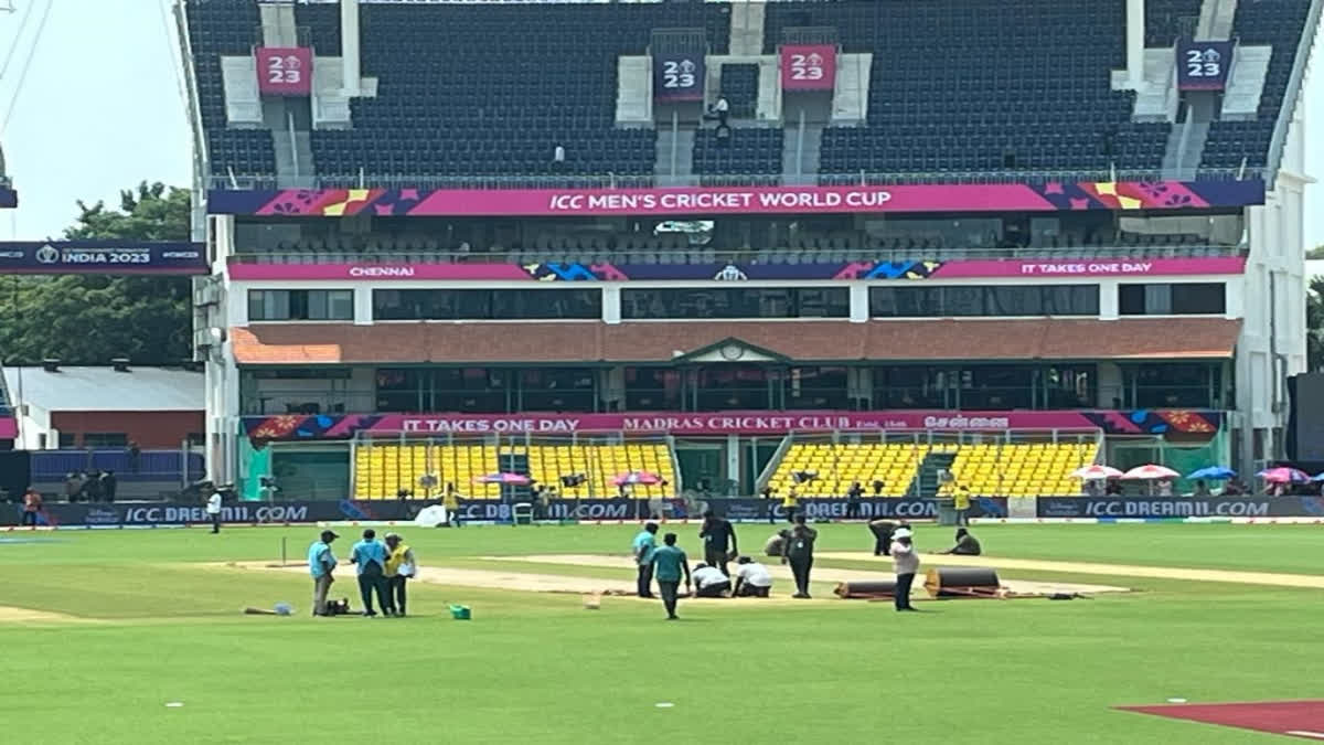 As India are set to start their World Cup campaign against Australia on MA Chidambaram stadium in Chennai, the pitch curators are taking utmost care of the surface so that the dew will not interfere. Also, there is a lot of buzz around the fixture. Writes Meenakshi Rao.