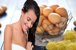 Egg for Hair Care News