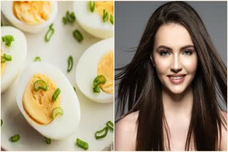 Egg Benefits For Hair