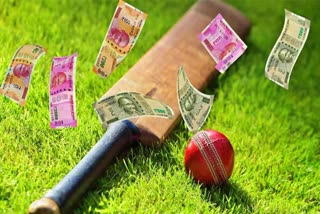 Online Betting in Cricket