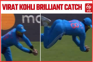 IND vs AUS Virat Kohli Catch