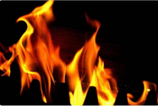 Fire breaks out in waste management plant in Kozhikode; blaze brought under control