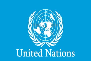 united nations report
