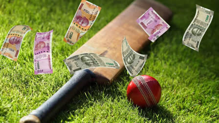 CRICKET WORLD CUP 2023