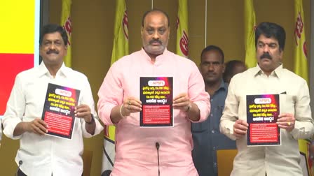 TDP Book on AP Fibernet Project Facts