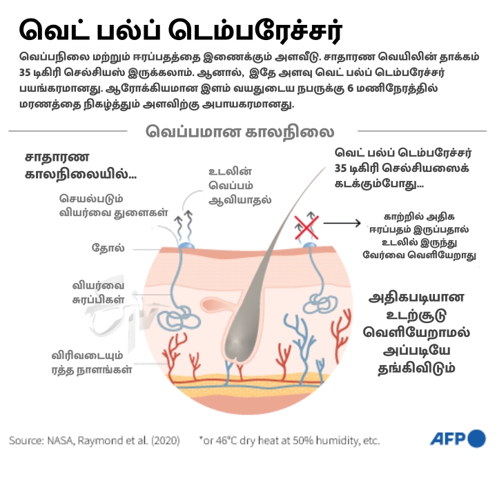 the image describes how wet bulb temperature affects human body