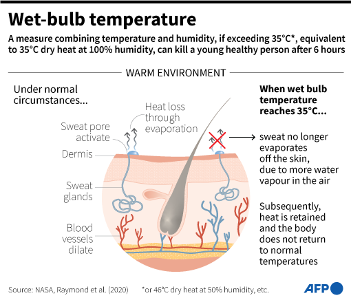 Chennai Air Show: Is Wet Bulb Temperature Cause Behind Deaths?