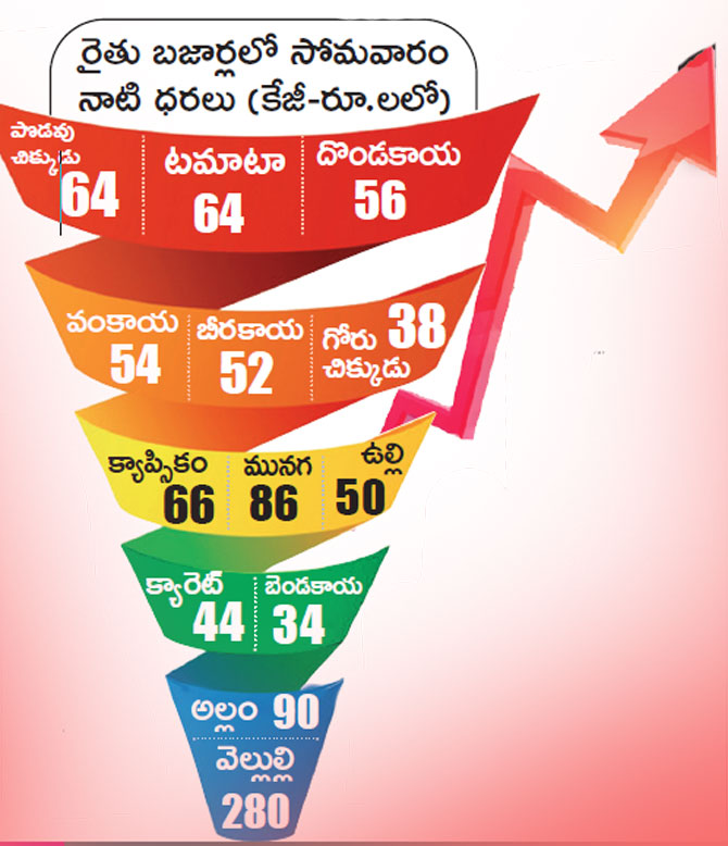 Vegetable Market Prices