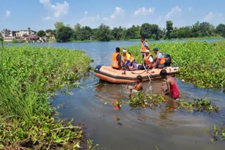 Rewa Crocodile Killed Youth