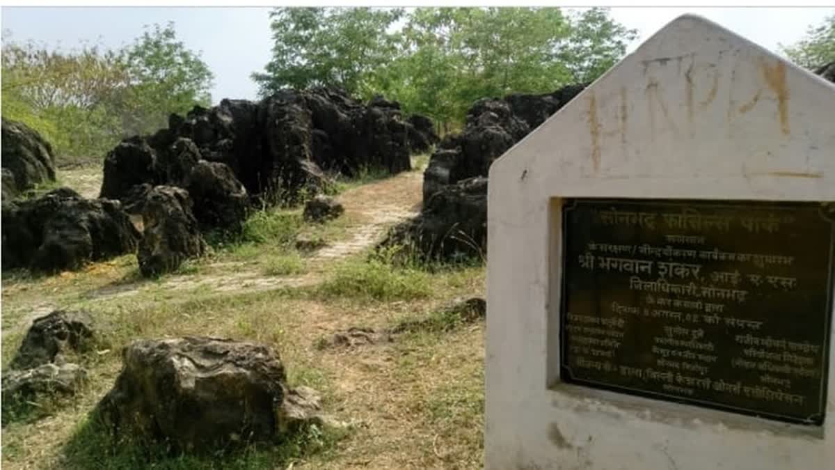 Sonbhadra Fossil Park