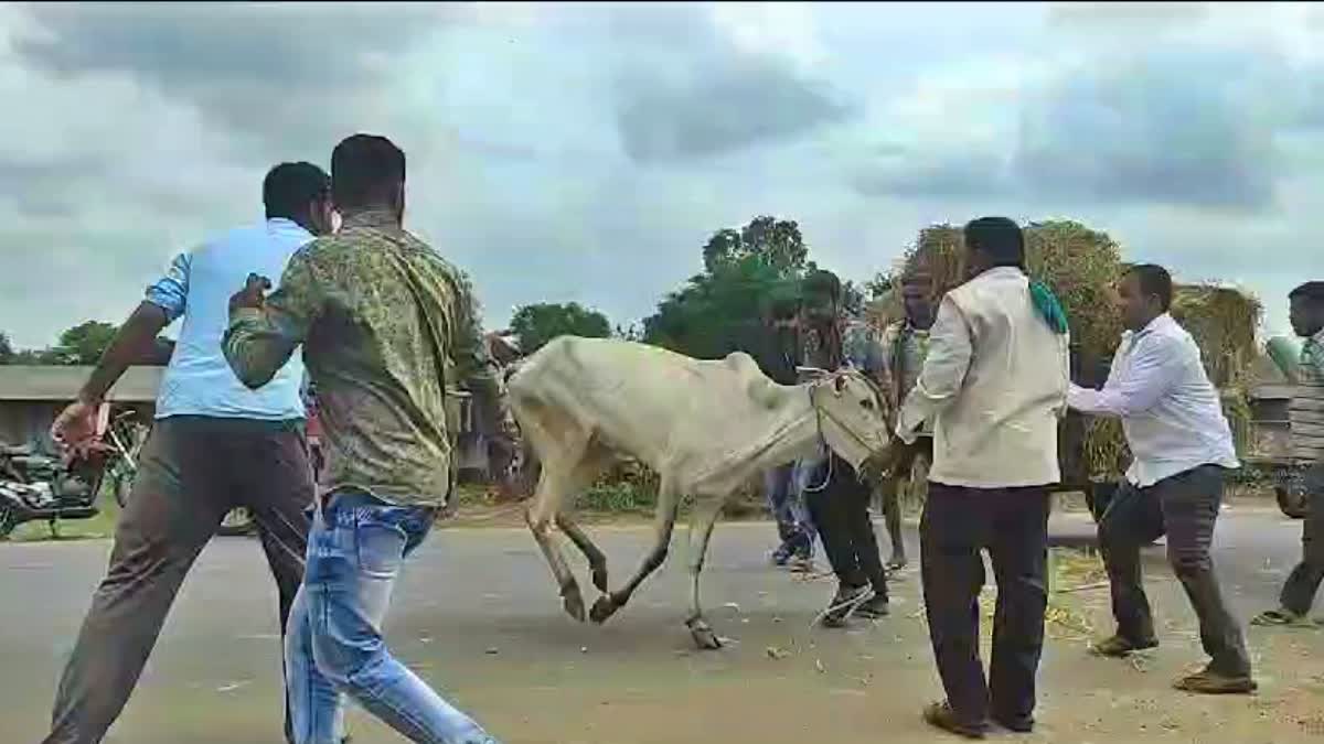 ವಿಸಿ ನಾಲೆ ಬಳಿ ತಪ್ಪಿದ ಮತ್ತೊಂದು ದುರಂತ