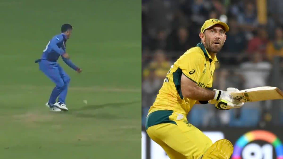 Mujeeb Ur Rahaman dropped Glenn Maxwell easy catch  Mujeeb Ur Rahaman  Glenn Maxwell  Cricket World Cup 2023  മുജീബ് ഉര്‍ റഹ്‌മാന്‍  ഗ്ലെന്‍ മാക്‌സ്‌വെല്‍  ഏകദിന ലോകകപ്പ് 2023  ഓസ്‌ട്രേലിയ vs അഫ്‌ഗാനിസ്ഥാന്‍