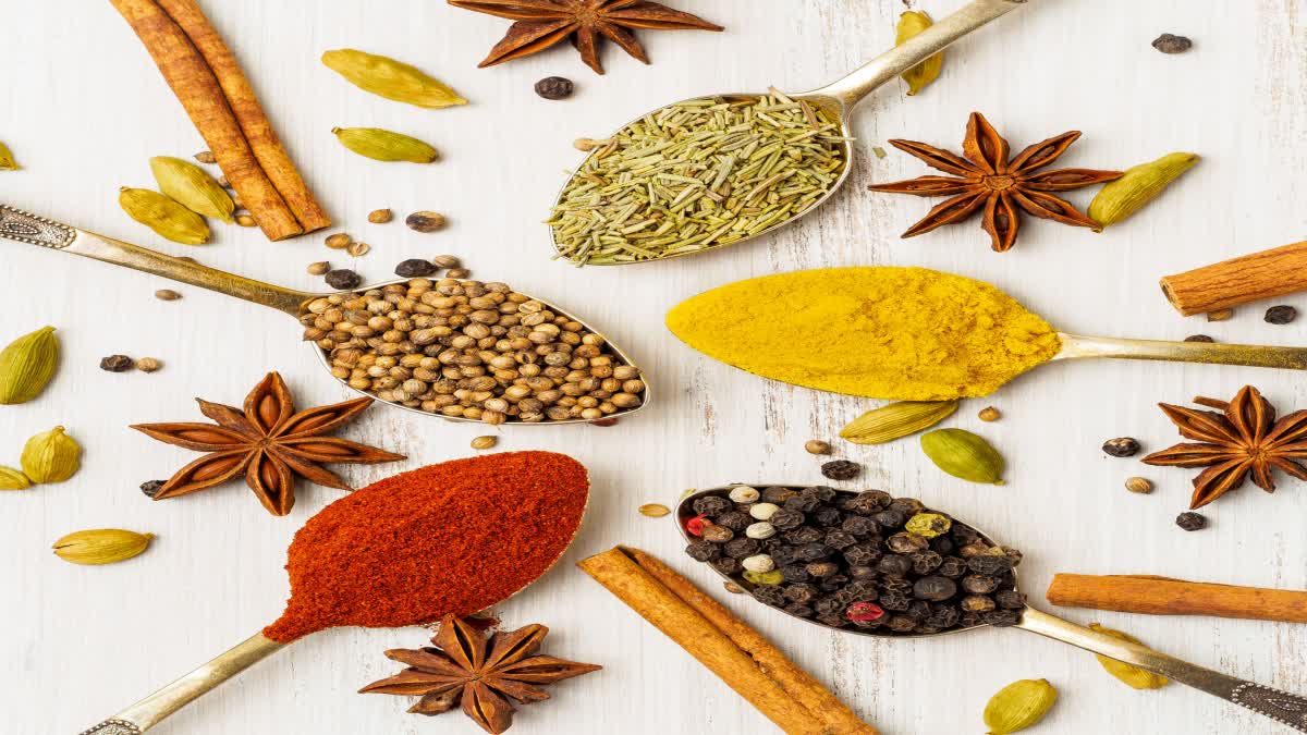 Spices for Digestion News