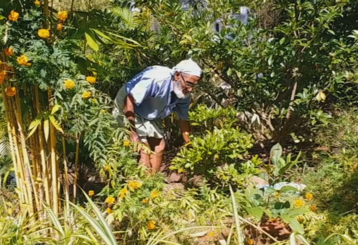 leafy vegetables Campaigner kerela