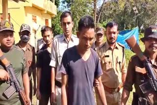 Smuggled timber arrested in Sonai Rupai Wildlife Sanctuary