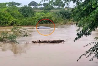 car_stuck_in_floods_in_prakasam_district