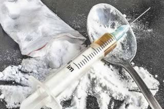 kullu police report on drug peddlers