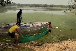 साउथ दिल्ली के सबसे बड़े तालाब की सफाई मे जुटा वन विभाग