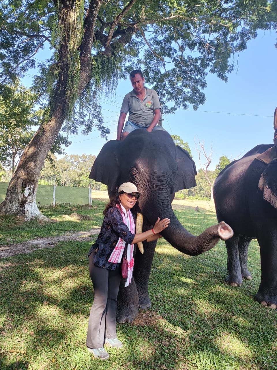 Visitors at  Kaziranga National Park