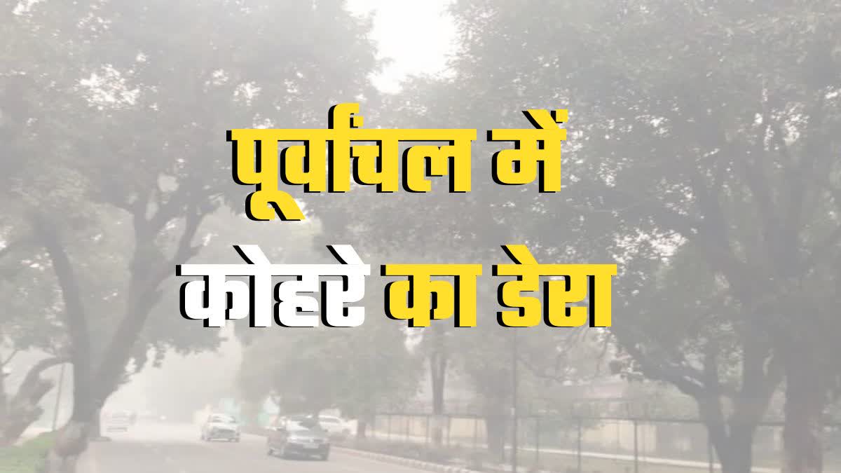 up-weather-mausam-latest-update-today-november-5-dense-fog-eastern-part-of-uttar-pradesh-aaj-ka-mausam-lucknow2024-11-05