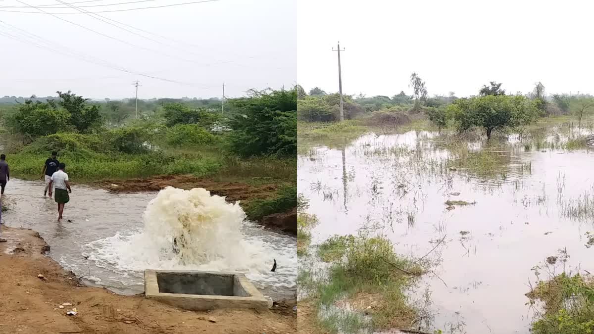 ಜಗಳೂರು ಕೆರೆಗಳಿಗೆ ಹರಿದ ತುಂಗಭದ್ರೆ