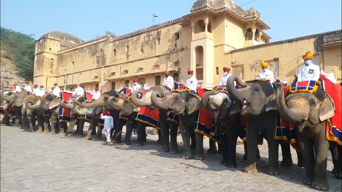 ELEPHANT RIDE RATE,  ELEPHANT RIDE IN AMER PALACE