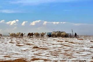 रेगिस्तान में बर्फबारी