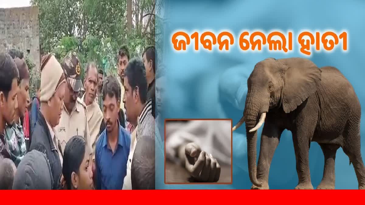 ଅନୁଗୋଳରେ ହାତୀ ଆକ୍ରମଣରେ 2 ମୃତ