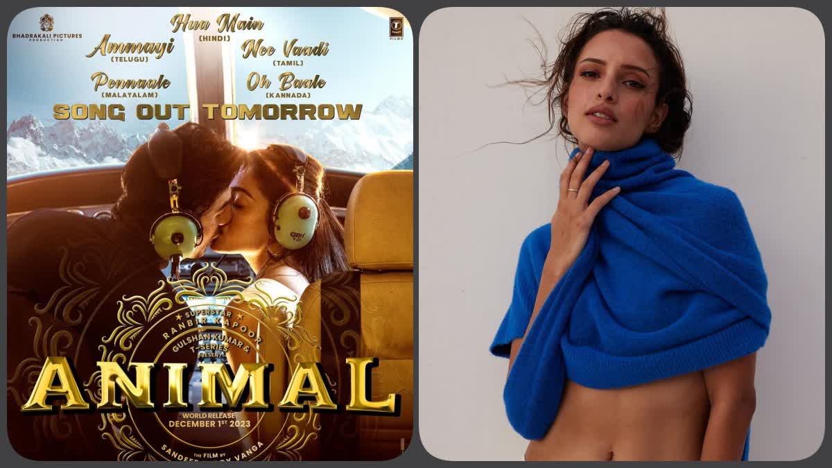 Animal's 'Bhabhi 2'