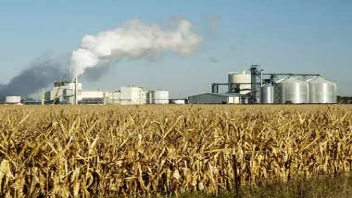 Ethanol Production Ban