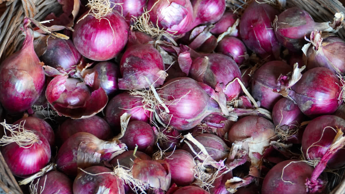 Export policy of onions