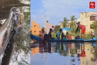 கர்ப்பிணியை மீட்ட விஜய் மக்கள் இயக்கத்தினர்