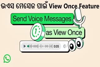 view once feature for voice messages
