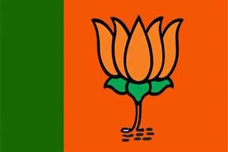 BJP Appoints Observers In Three States To Pick New Chief Ministers