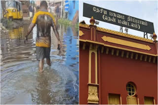National Green Tribunal has registered a case on the issue of crude oil mixed with rain floods