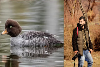 Bird Photographer Reyan Sofi